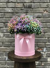 Цветочная композиция из Гипсофила и Розы в шляпной коробке #REPLACE_PRED# Лесной Пушкинский район