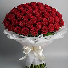 Букет 101 Красная роза Блэк Мэджик в Лесной Пушкинский район