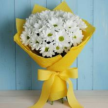 Букет Застенчивые лепестки в Лесной Пушкинский район Букет цветов из:  Хризантемы в Лесной Пушкинский район