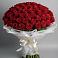 Букет 101 Красная роза Блэк Мэджик в Лесной Пушкинский район