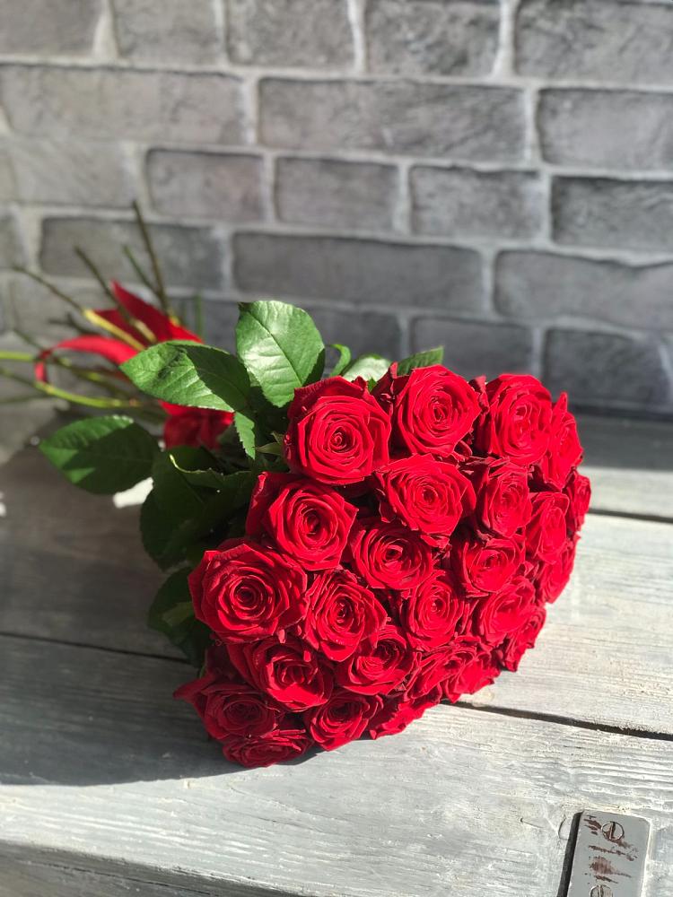 Красные розы Фридом в Лесной Пушкинский район Букет Красные розы Фридом в Лесной Пушкинский район