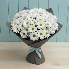 Букет белые хризантемы в Лесной Пушкинский район Букет цветов из:  Хризантемы в Лесной Пушкинский район