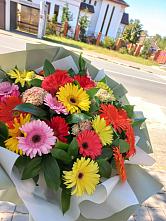 Букет цветов из:  Герберы #REPLACE_PRED# Лесной Пушкинский район