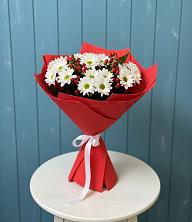 Букет ягоды на снегу в Лесной Пушкинский район Букет цветов из:  Хризантемы в Лесной Пушкинский район