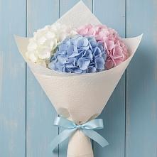 Букет Нежная гортензия в Лесной Пушкинский район Букет цветов из:  Гортензия в Лесной Пушкинский район