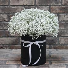 Композиция коробка гипсофил в Лесной Пушкинский район Цветочная композиция из Гипсофила в шляпной коробке в Лесной Пушкинский район