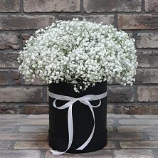 Композиция коробка гипсофил в Лесной Пушкинский район Цветочная композиция из Гипсофила в шляпной коробке в Лесной Пушкинский район