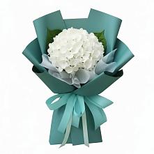 Букет цветов из:  Гортензия в Лесной Пушкинский район